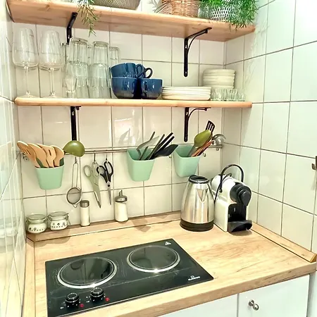Apartament Boutique Design Studio At The City Center